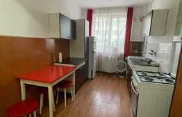 Apartament 2 camere decomandate, 47 mp, zona Piata Abator