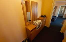 2 camere pet friendly, 50 mp, zona strazii Brancusi, cartier Gheorgheni