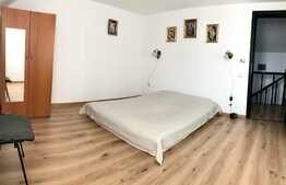 Casa individuala, Stupini 