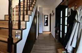 Casa individuala, Stupini 