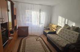 Garsoniera zona Rulmentu