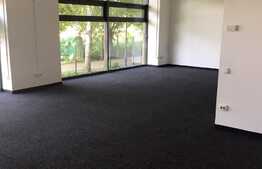 Spatiu de birouri, 362 mp, zona Plopilor