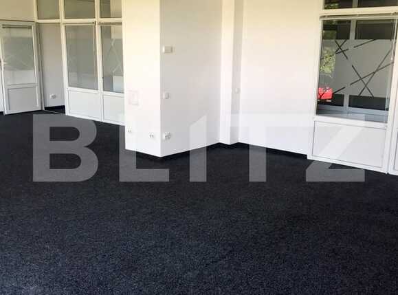 Spațiu birouri de închiriat Plopilor - 61488SIB | BLITZ Cluj-Napoca | Poza1