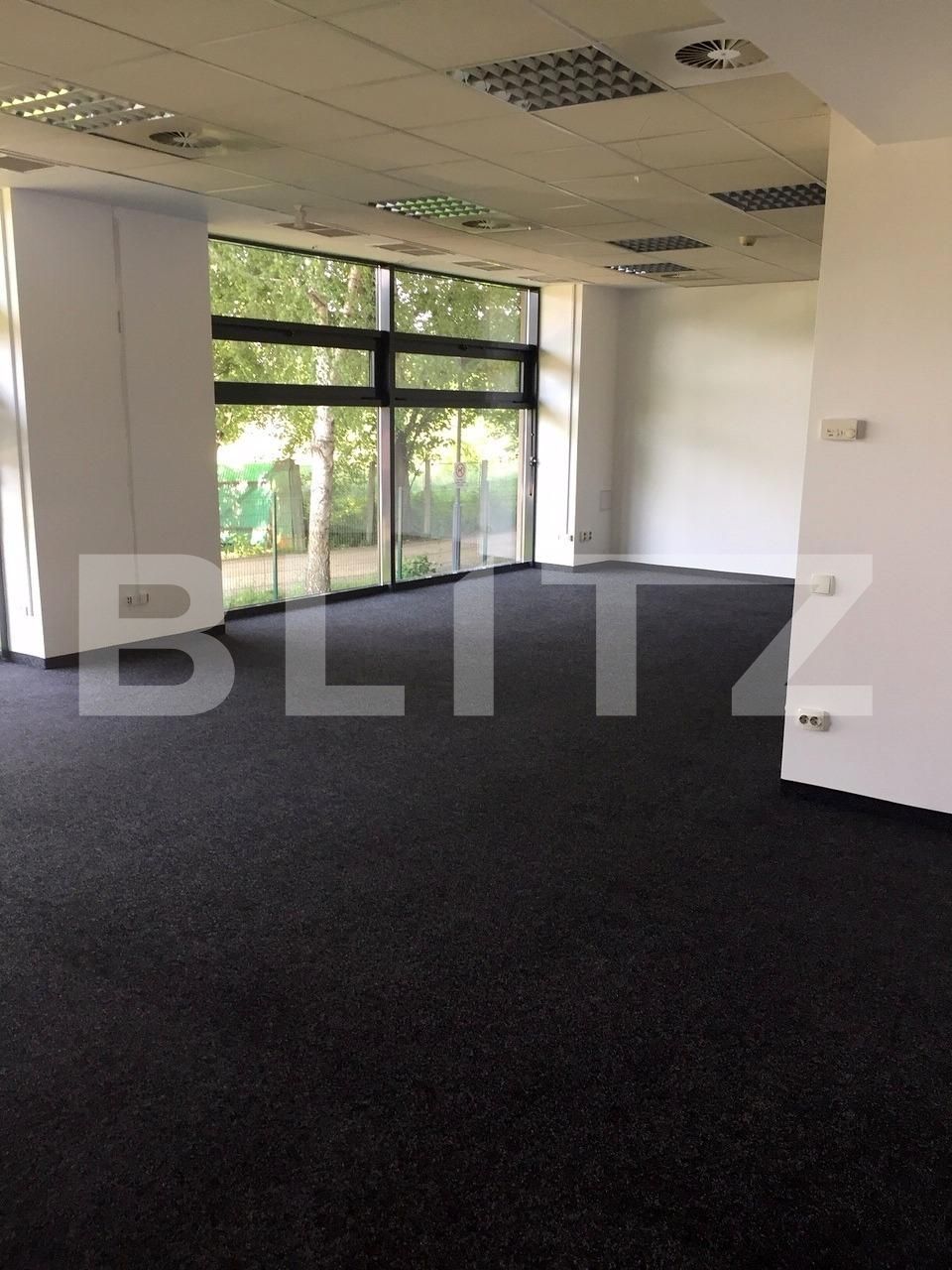Spațiu birouri de închiriat Plopilor - 61488SIB | BLITZ Cluj-Napoca | Poza3