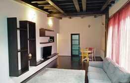 Ocazie investitie ! 47 mp, zona Iulius Mall