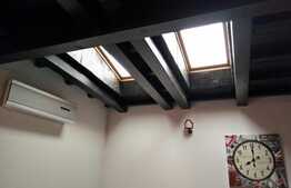 Ocazie investitie ! 47 mp, zona Iulius Mall