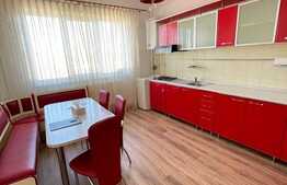 De vanzare, apartament 1 camera, 40 mp utili, zona Stadion CFR