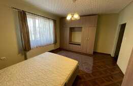 De vanzare casa individuala, 93 mp utili, 388 mp teren, Dambu Rotund