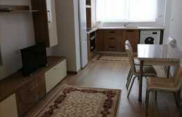Garsoniera noua, Sunnyville Residence, Racadau