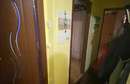 Apartament 3 camere, 53 mp, decomandat, zona Astra 