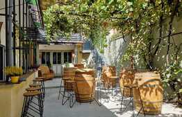 Casa individuala, 158 mp, 6 camere cu curte, Exclus alimentatie publica!