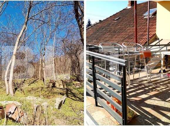 Spațiu comercial de închiriat Central - 61542SIC | BLITZ Cluj-Napoca | Poza3