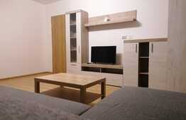 Apartament 2 camere, mobilat și utilat, zona de vile în Tractorul!