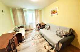 2 camere, decomandat, 50 mp, Pet Friendly, zona strazii Liviu Rebreanu 