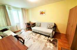 2 camere, decomandat, 50 mp, Pet Friendly, zona strazii Liviu Rebreanu 