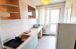 2 camere, decomandat, 50 mp, Pet Friendly, zona strazii Liviu Rebreanu 