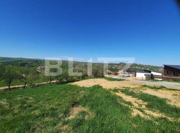 Teren de vânzare Feleacu - 61581TV | BLITZ Cluj-Napoca | Poza4