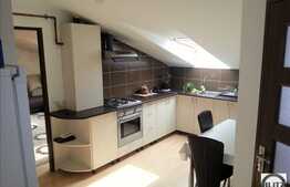 1 camera la mansarda de vanzare, 44 mp, zona strazii Prof. Ioan Rus