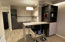 Apartament de inchiriat cu doua camere, 54 mp, zona NTT DATA