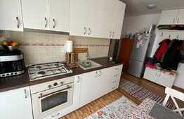 Apartament 1 camera, decomandat, zona Porii, Floresti