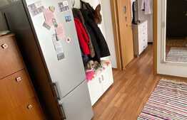 Apartament 1 camera, decomandat, zona Porii, Floresti