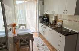 Apartament 1 camera, decomandat, zona Porii, Floresti