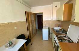2 camere, semidecomandat, 47 mp, parcare, pet friendly, zona strazii Traian Mosoiu