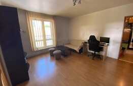 2 camere, semidecomandat, 47 mp, parcare, pet friendly, zona strazii Traian Mosoiu