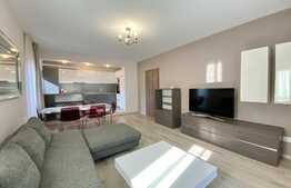 Apartament superb in Vila cu 3 camere, modern, curte privata, zona USAMV