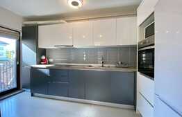 Apartament superb in Vila cu 3 camere, modern, curte privata, zona USAMV