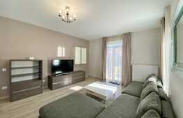 Apartament superb in Vila cu 3 camere, modern, curte privata, zona USAMV