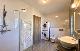 Apartament superb in Vila cu 3 camere, modern, curte privata, zona USAMV