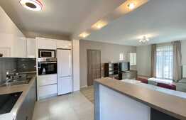 Apartament superb in Vila cu 3 camere, modern, curte privata, zona USAMV