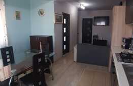 Apartament 3 camere, 70 mp, mobilat modern, zona strazii Stejarului!