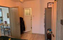 Apartament 2 camere, 30 mp, Tractoru