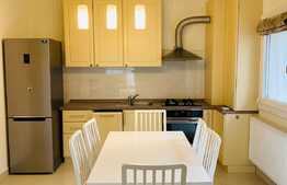 Apartament cu 4 camere, 120 mp, mobilat modern, garaj, zona strazii Fagului