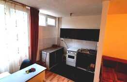 1 camera, recent renovat, 28 mp, zona strazii Aleea Detunata