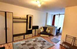 1 camera, recent renovat, 28 mp, zona strazii Aleea Detunata