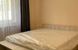 Apartament cu 2 camere, decomandat, pet friendly, 61 mp, prima inchiriere, totul nou, zona Iulius Mall