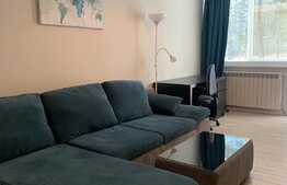 Apartament cu 2 camere, decomandat, pet friendly, 61 mp, prima inchiriere, totul nou, zona Iulius Mall