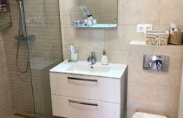 Apartament 2 camere, 50 mp, garaj, zona P-ta Mihai Viteazu 