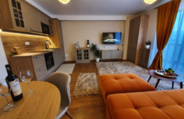 Apartament 2 camere cu design modern si finisaje premium!
