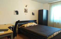 Apartament 2 camere, mobilat și utilat în zona Noua!