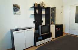 Apartament 2 camere, mobilat și utilat în zona Noua!