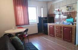 Apartament 2 camere, mobilat și utilat în zona Noua!