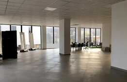 Spatiu comercial cu vad , suprafata generoasa 320 mp + terasa, Dambul Rotund!