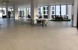 Spatiu comercial cu vad , suprafata generoasa 320 mp + terasa, Dambul Rotund!