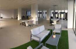 Spatiu comercial cu vad , suprafata generoasa 320 mp + terasa, Dambul Rotund!