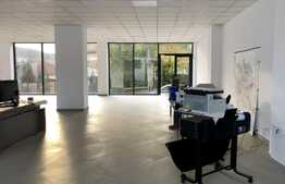 Spatiu comercial cu vad , suprafata generoasa 320 mp + terasa, Dambul Rotund!