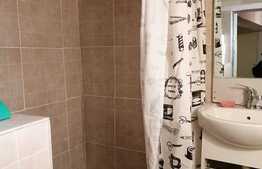 Apartament cu 2 camere, 37 mp, zona Piata Muzeului